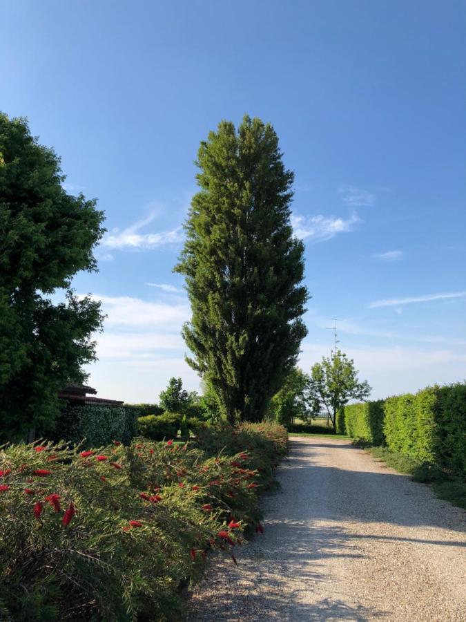Via D' Este 8 Gualtieri Eksteriør billede